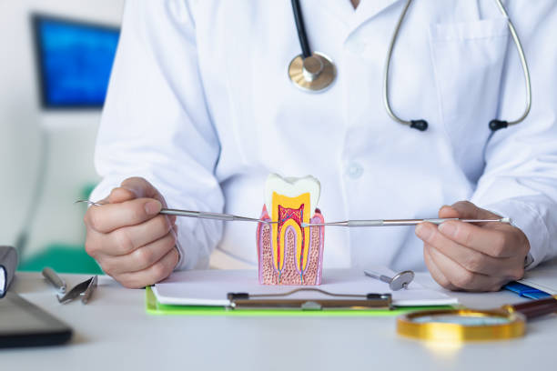 Best Broken or Chipped Tooth Repair in Cadillac, MI